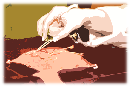 指輪交換をしています