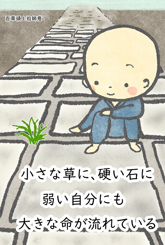 毎日のいいこと探し、しています＆11月の行事予定